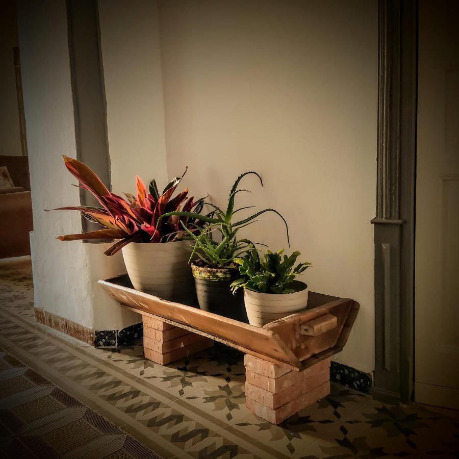 Casa Rural Maribel Santa Amalia Екстериор снимка